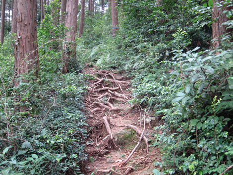 20191017hike (85)